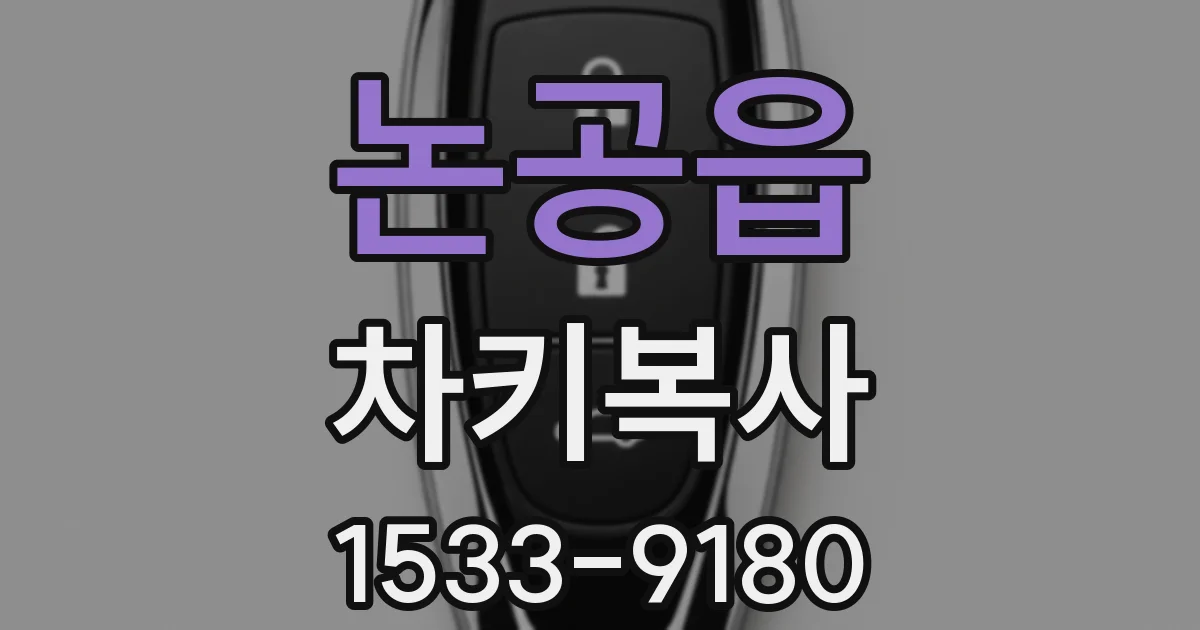 논공읍 차키복사