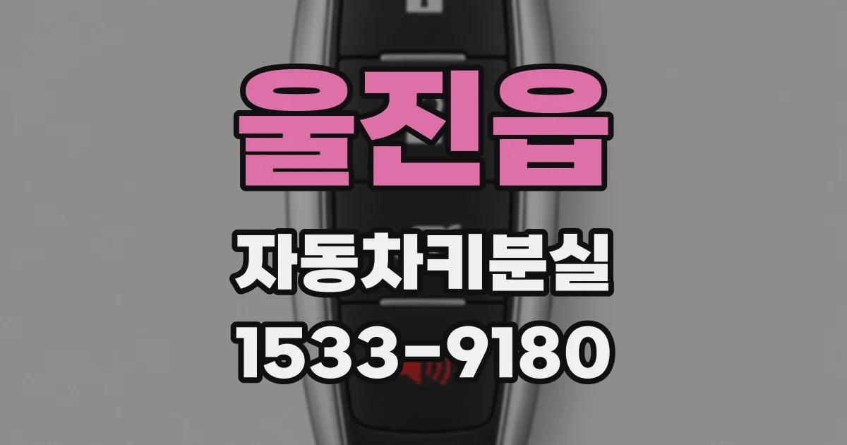 울진읍 자동차키분실