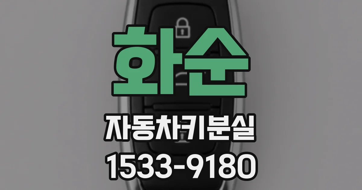 화순 자동차키분실