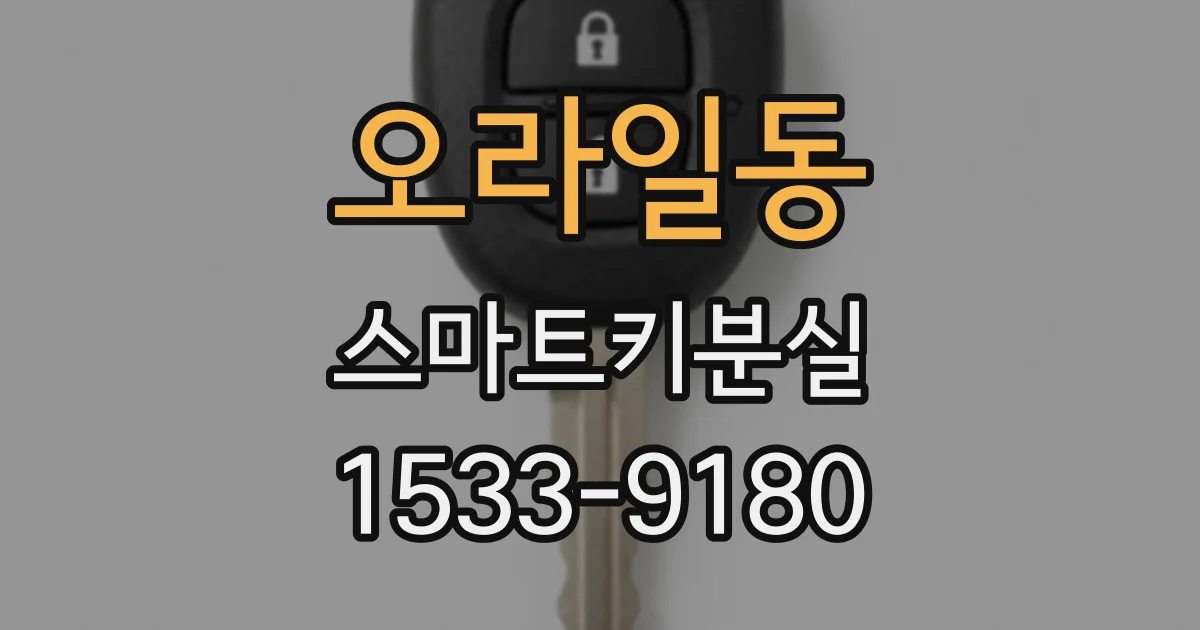 오라일동 스마트키분실