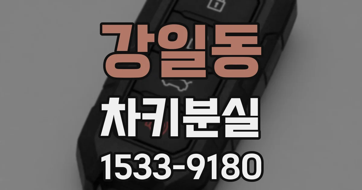 강일동 차키분실
