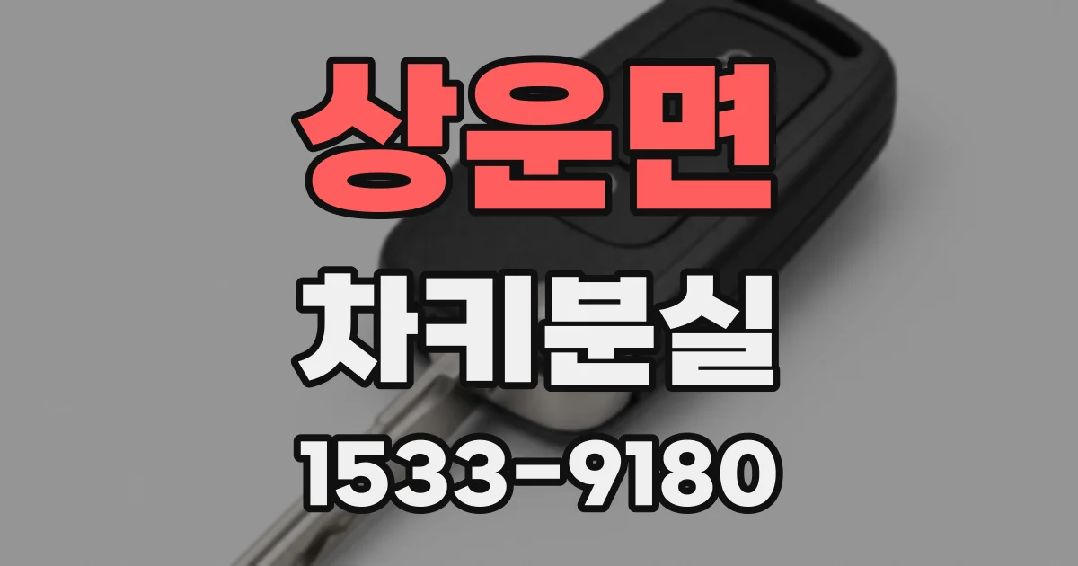 상운면 차키분실