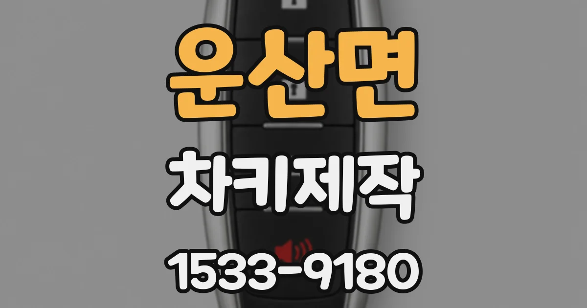 운산면 차키제작