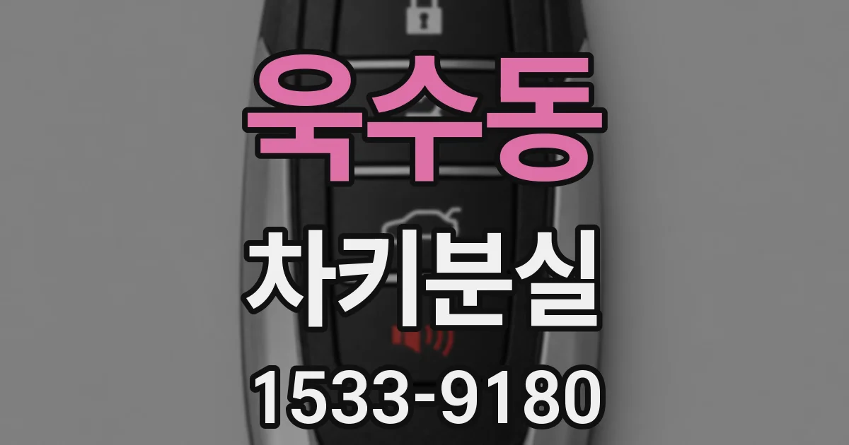 욱수동 차키분실