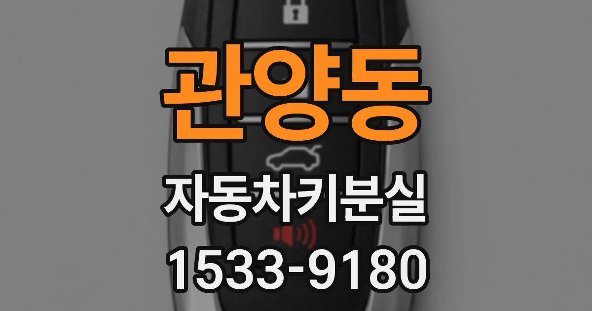관양동 자동차키분실