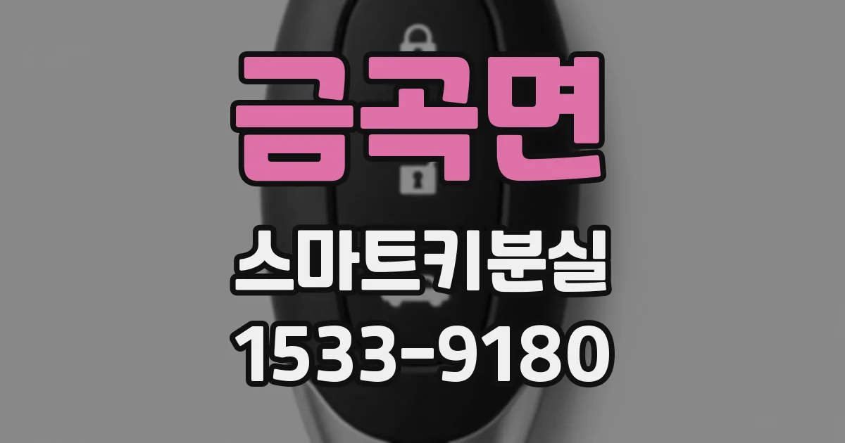 금곡면 스마트키분실