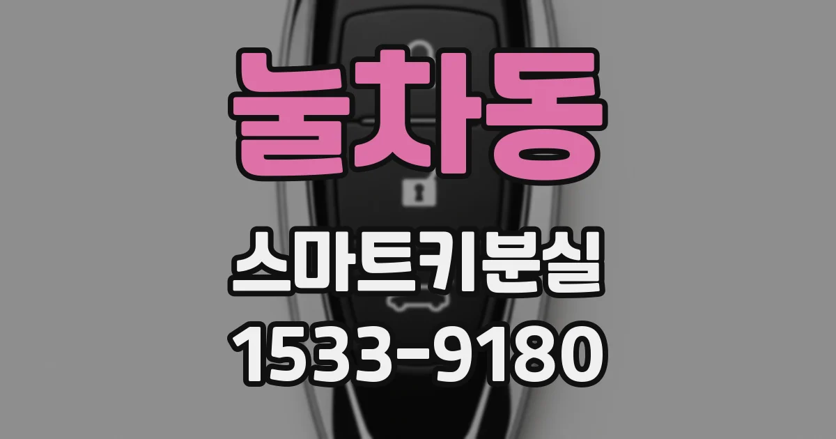 눌차동 스마트키분실