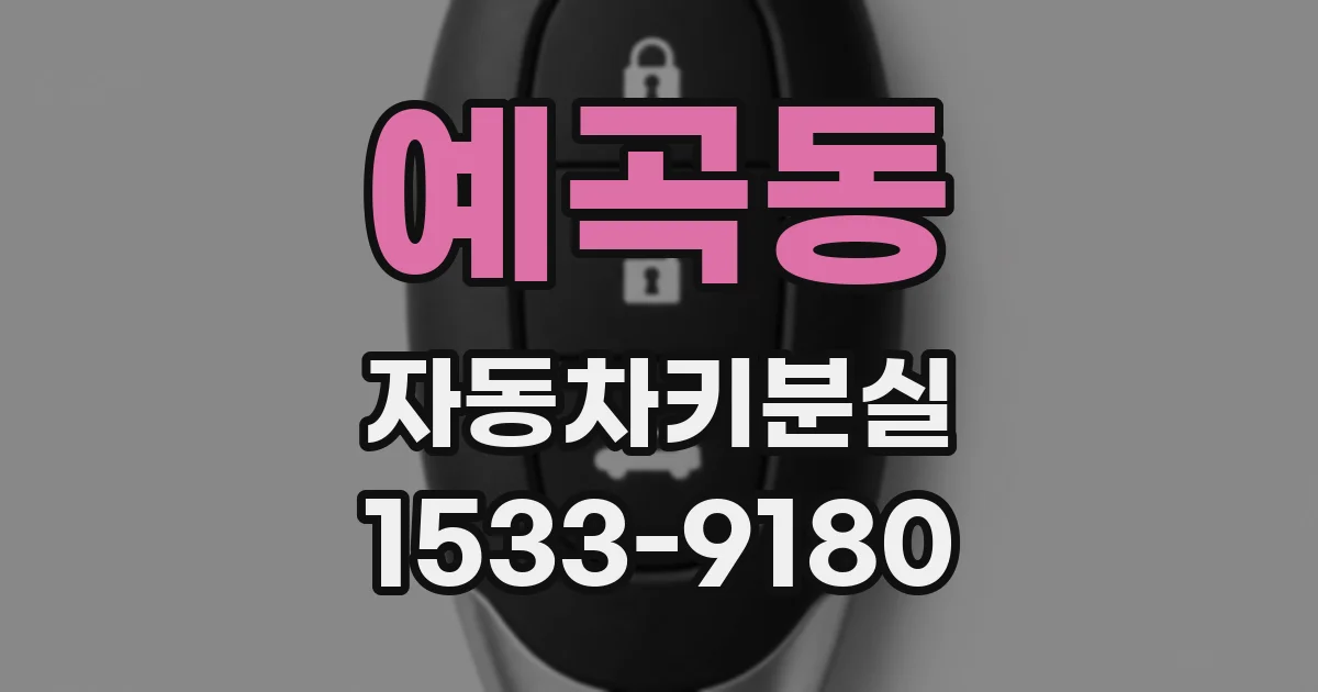 예곡동 자동차키분실