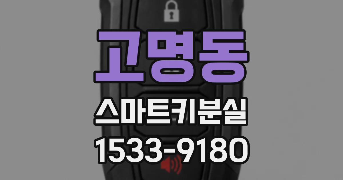 고명동 스마트키분실