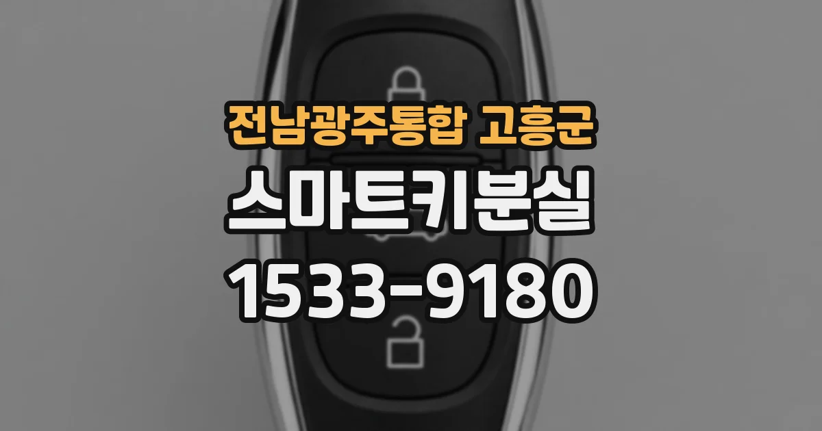 전남광주통합 고흥군 스마트키분실