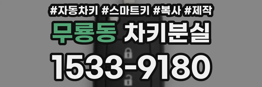 무룡동 차키분실