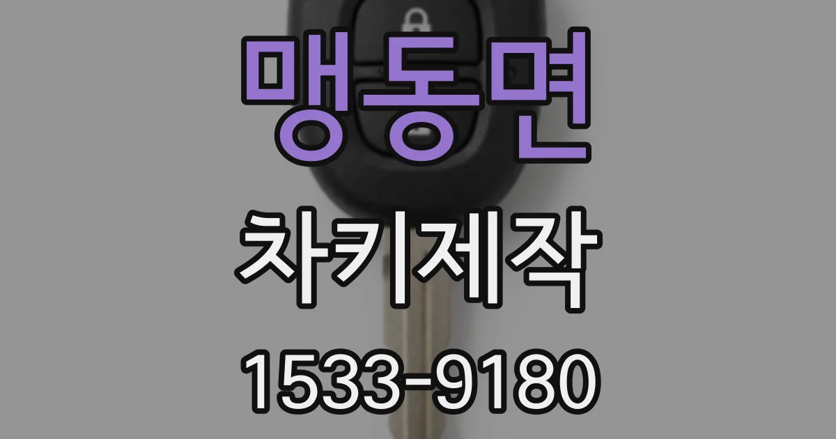 맹동면 차키제작