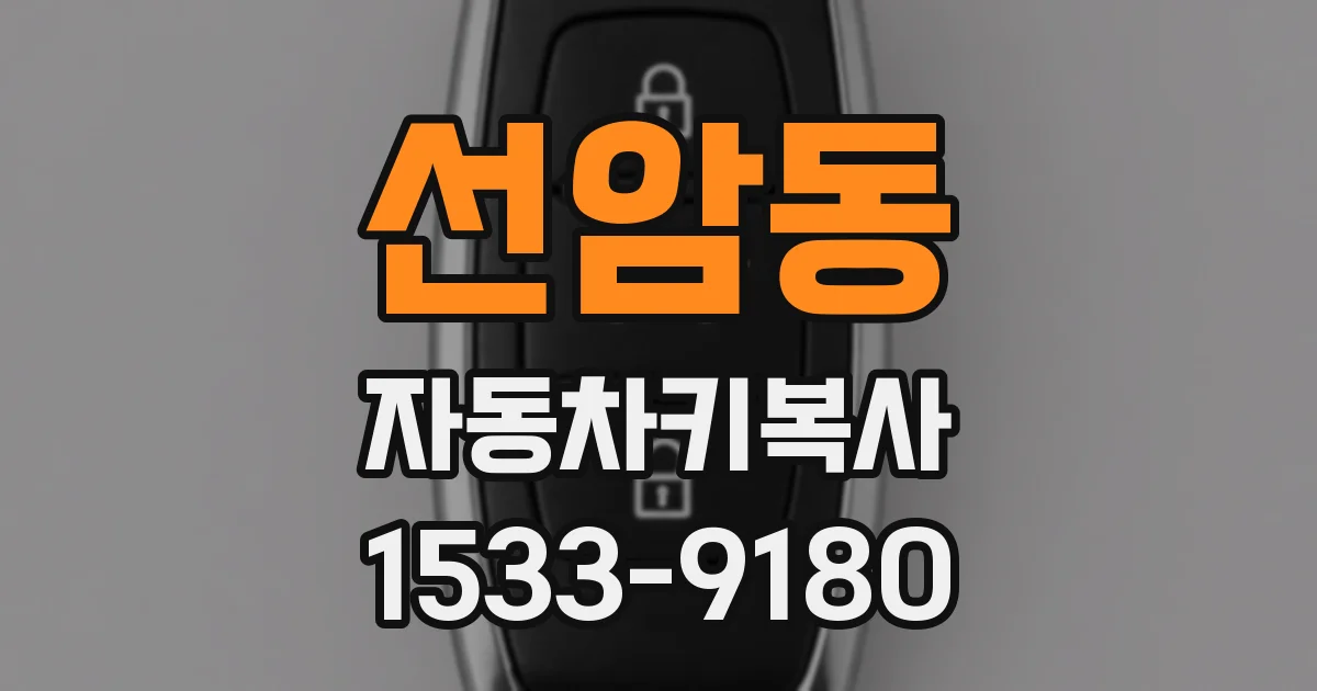 선암동 자동차키복사