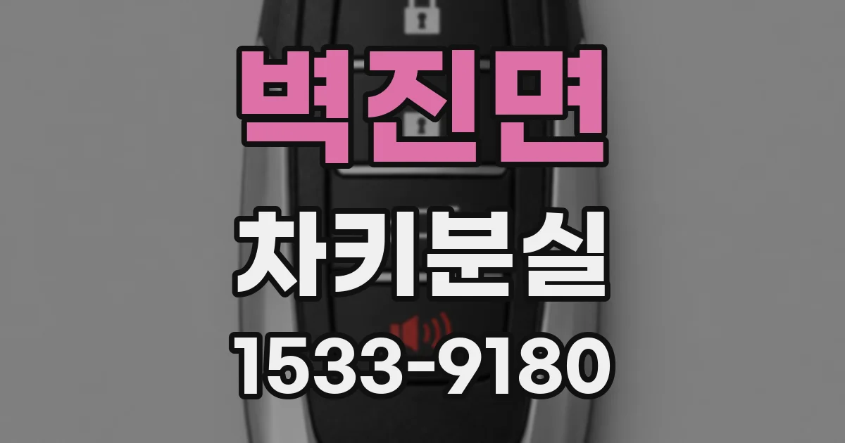 벽진면 차키분실