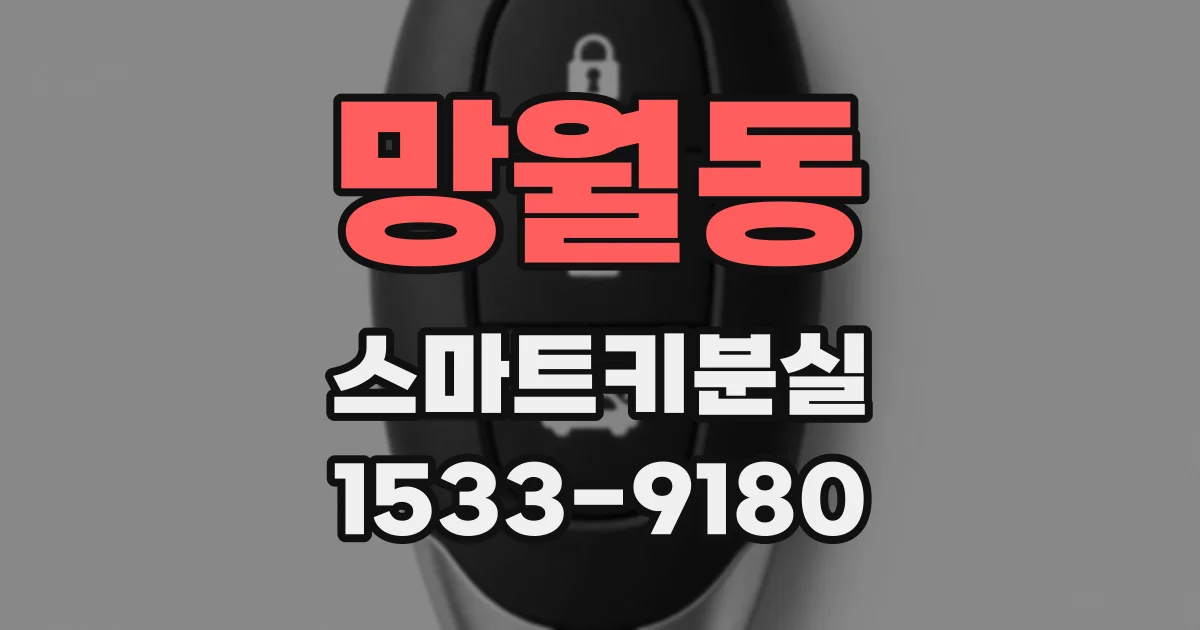 망월동 스마트키분실