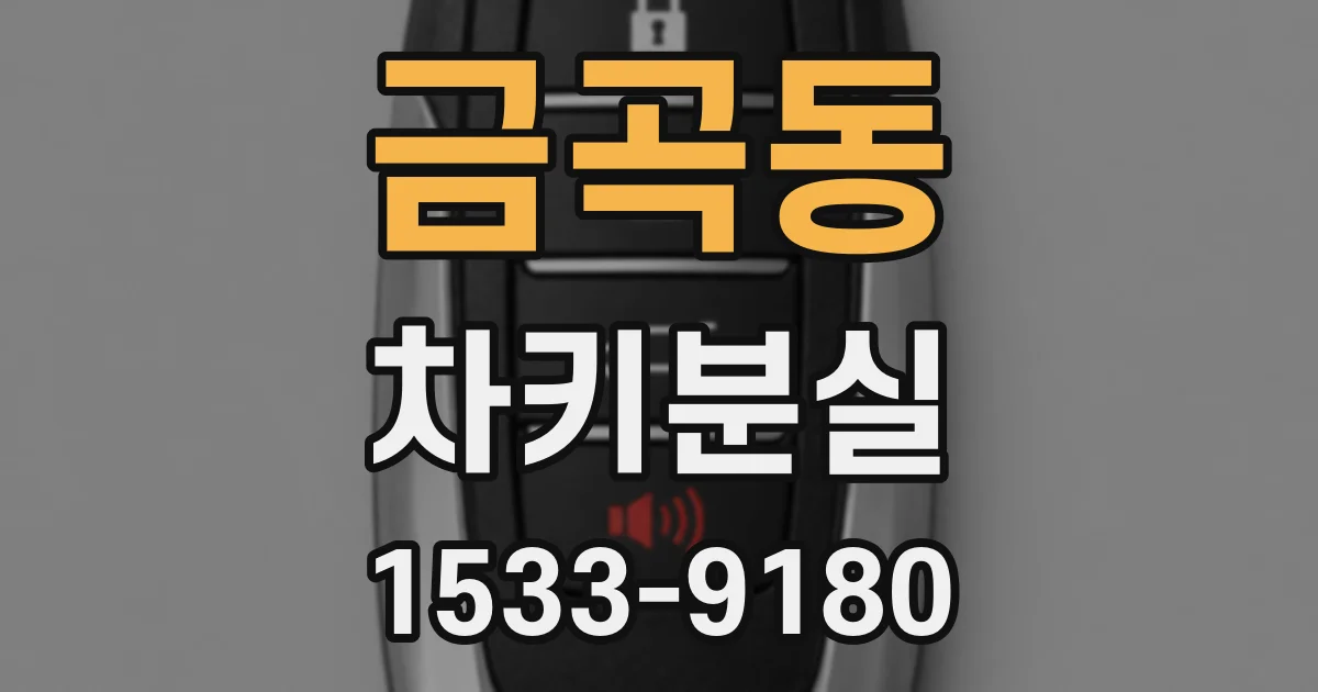 금곡동 차키분실