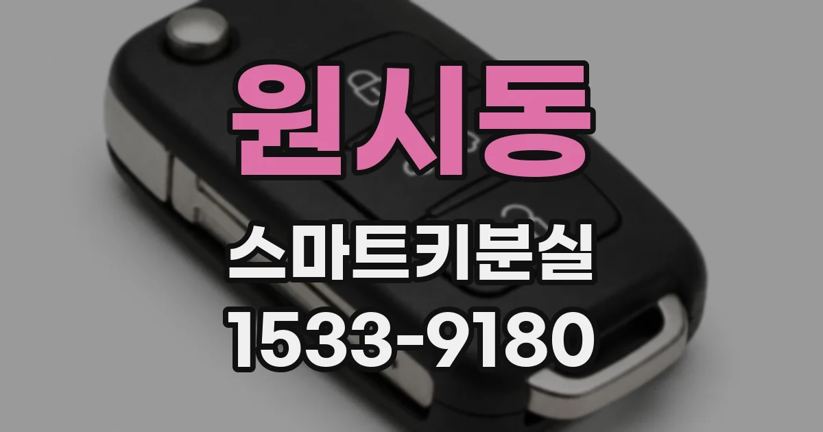 원시동 스마트키분실