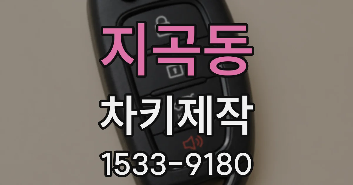 지곡동 차키제작