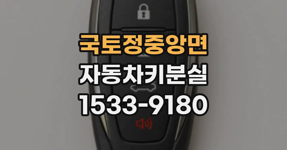 국토정중앙면 자동차키분실