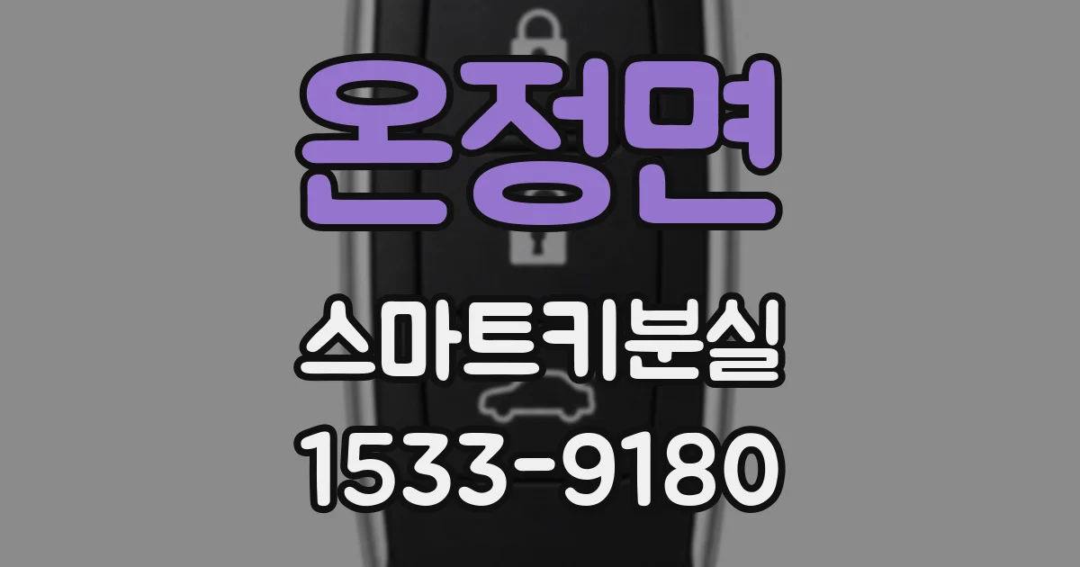 온정면 스마트키분실