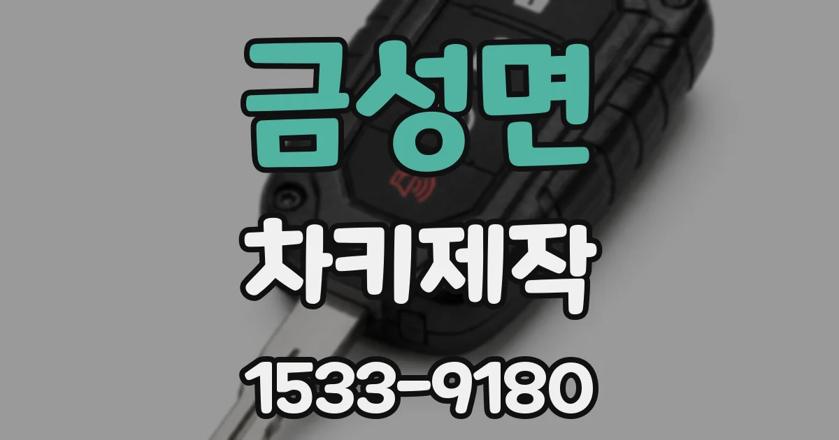 금성면 차키제작