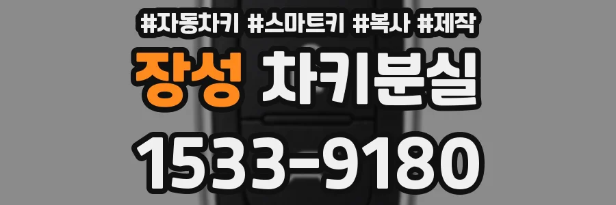 장성 차키분실