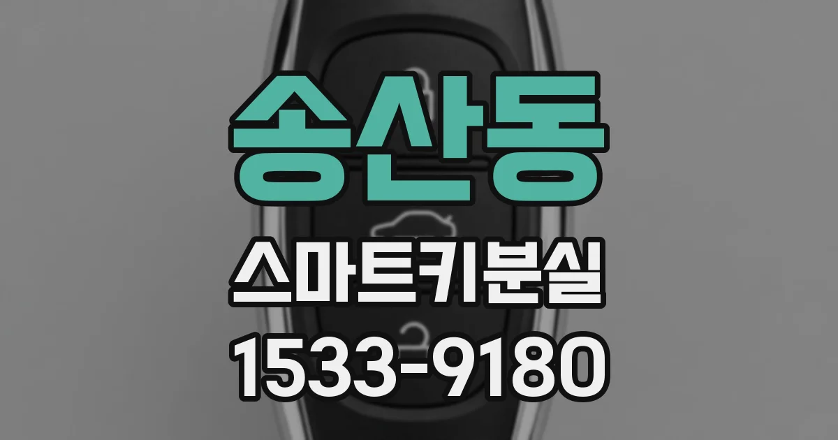 송산동 스마트키분실