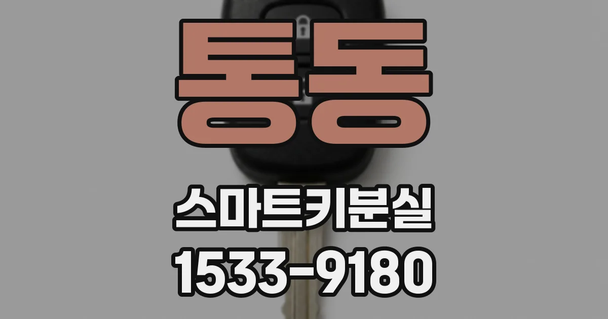 통동 스마트키분실