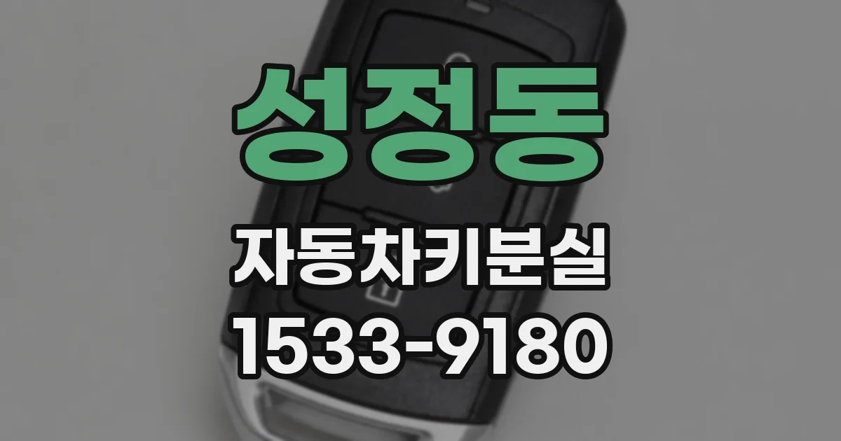 성정동 자동차키분실