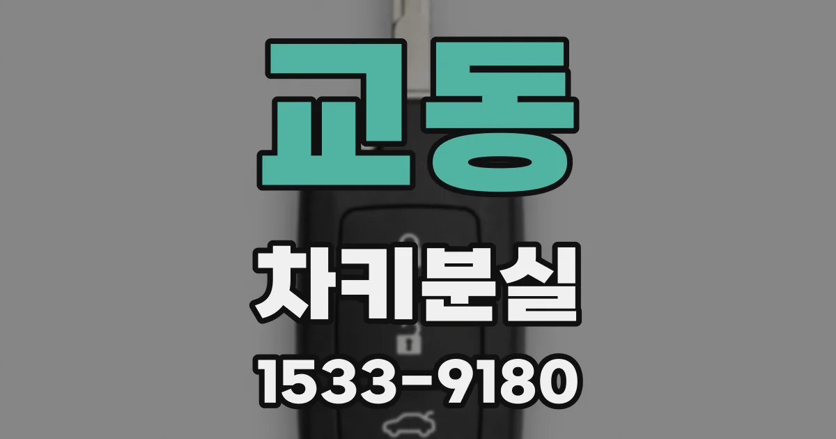 교동 차키분실