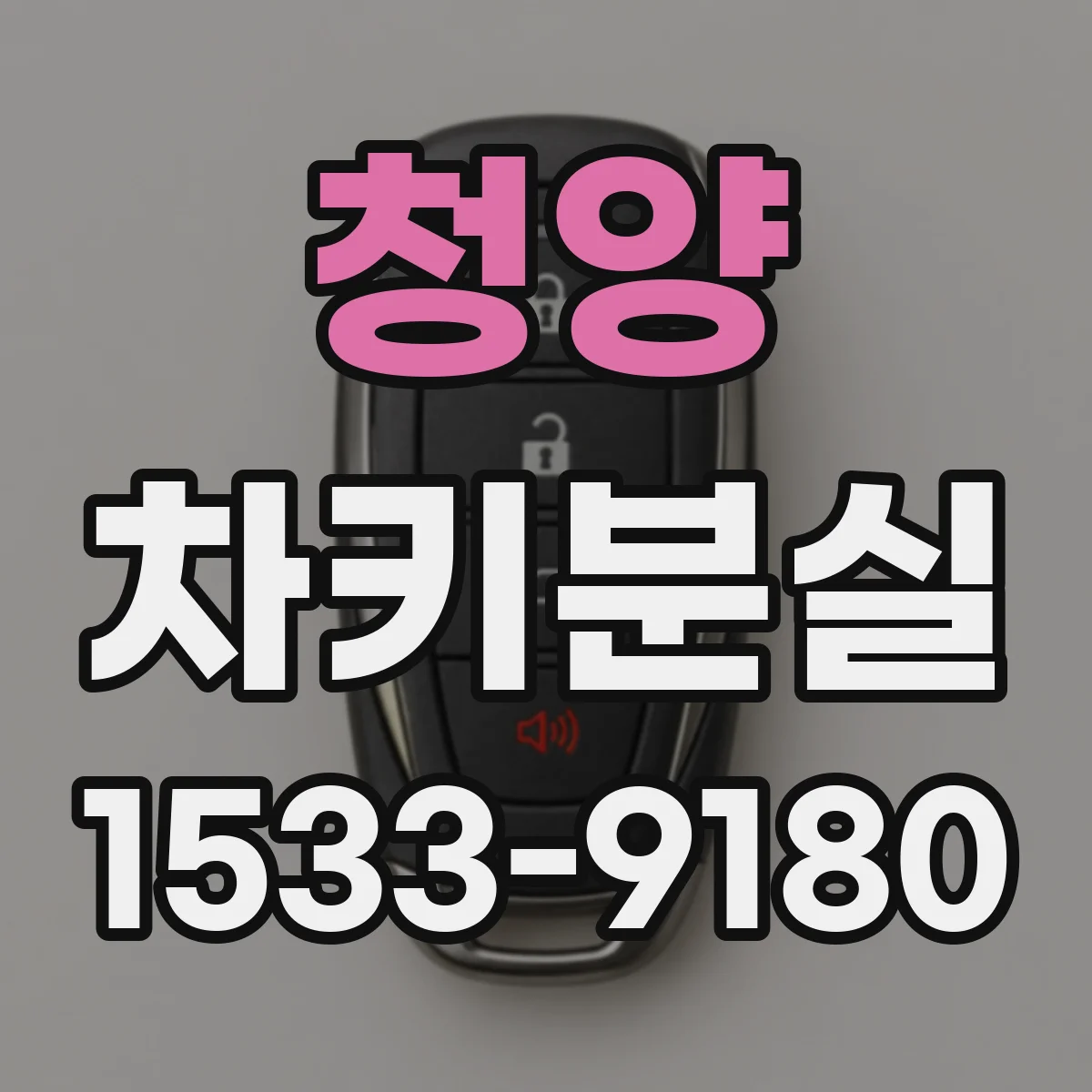 청양 차키분실