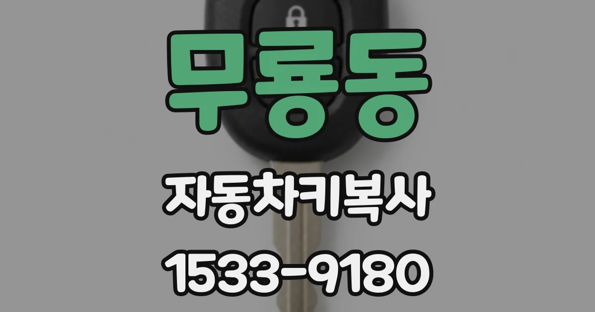 무룡동 자동차키복사
