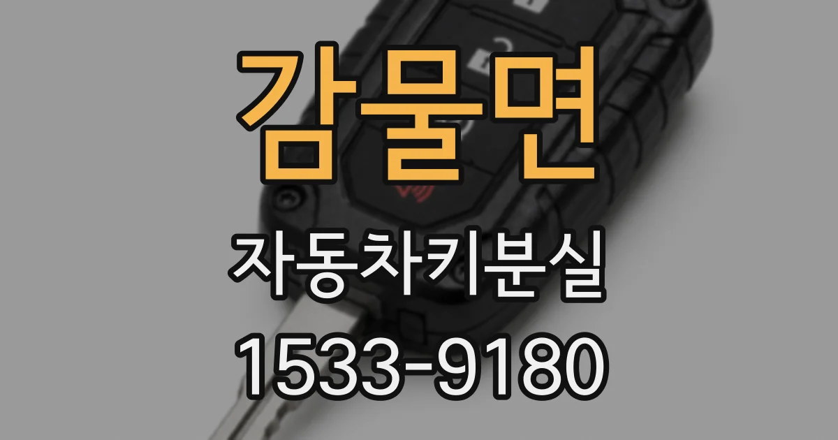 감물면 자동차키분실