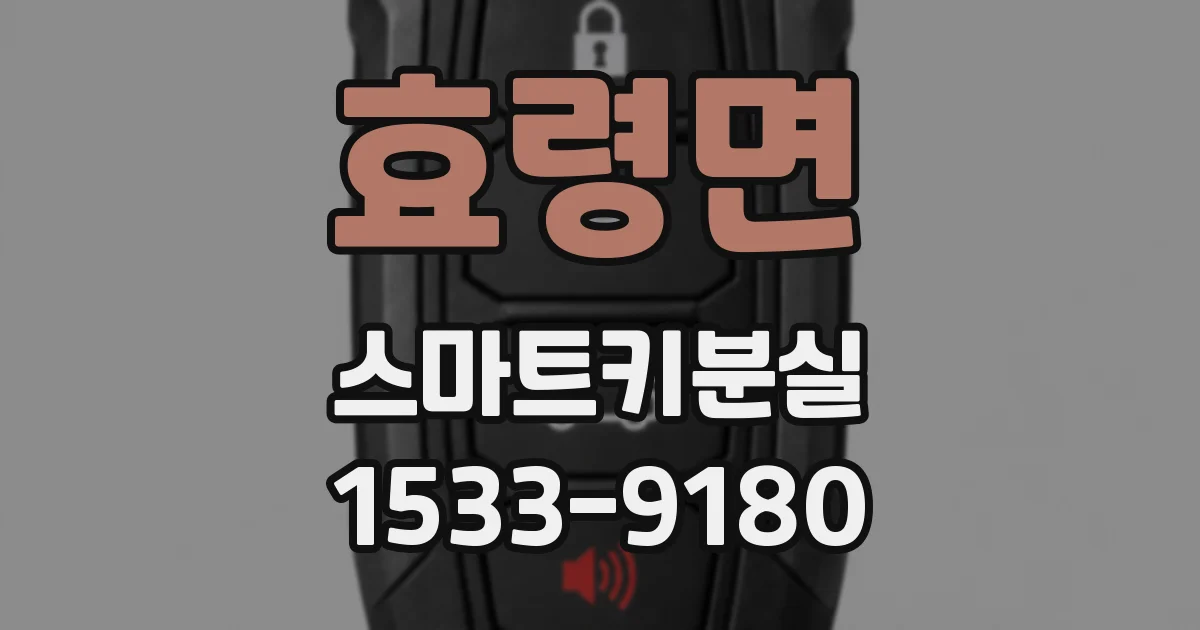 효령면 스마트키분실