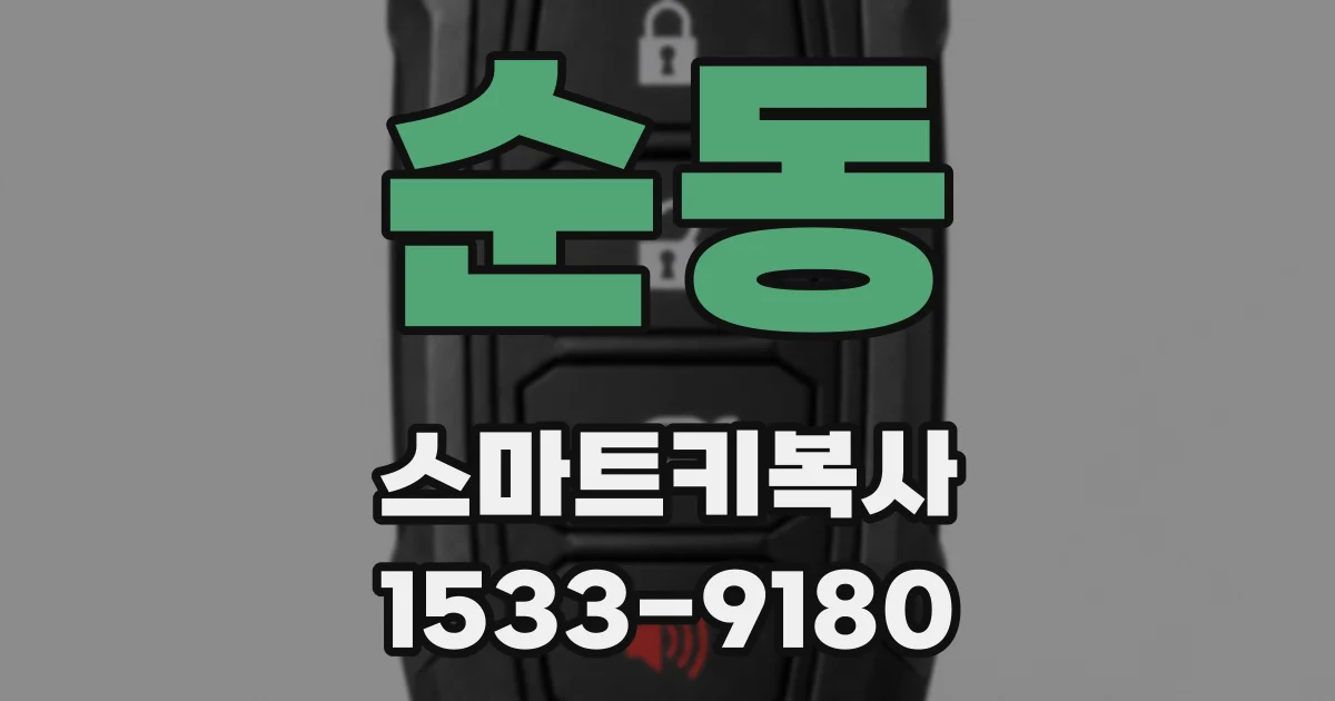 순동 스마트키복사