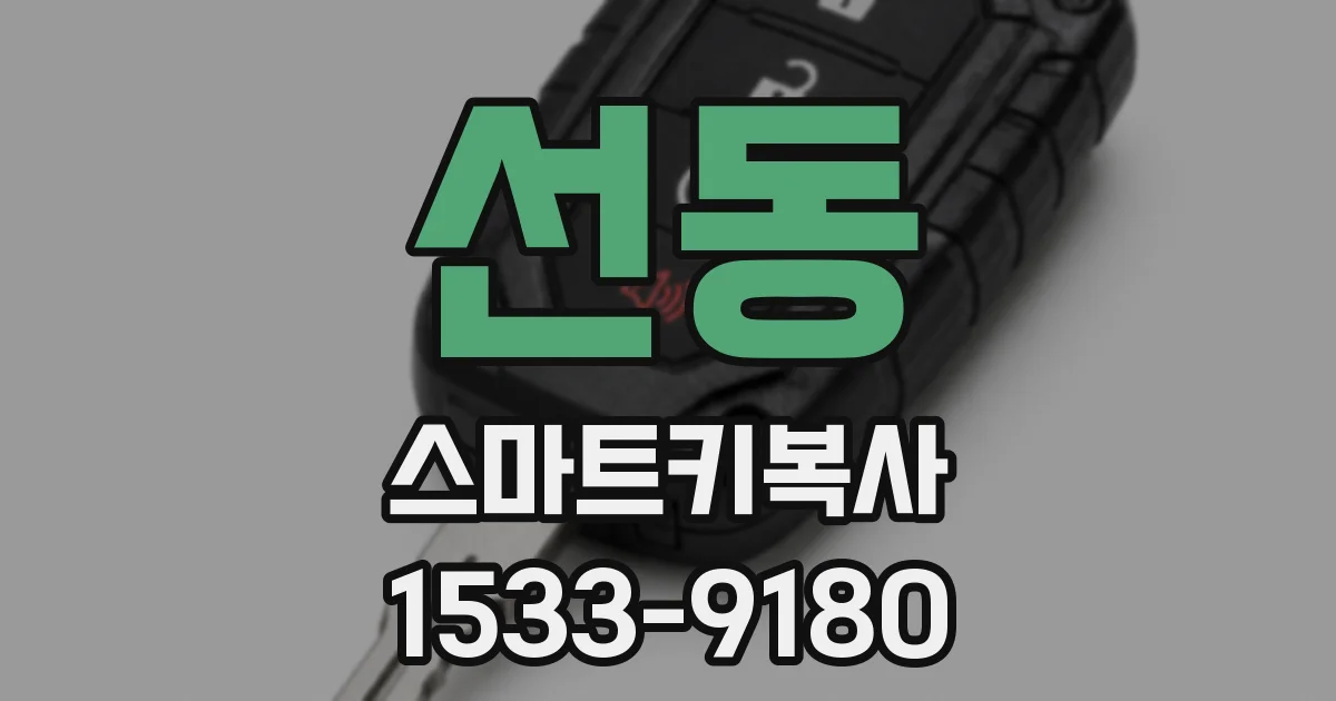 선동 스마트키복사