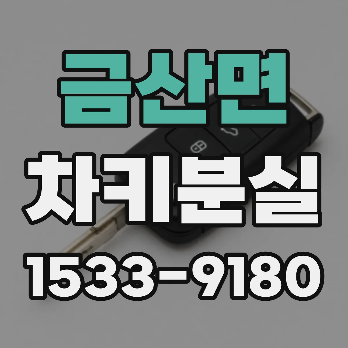 금산면 차키분실