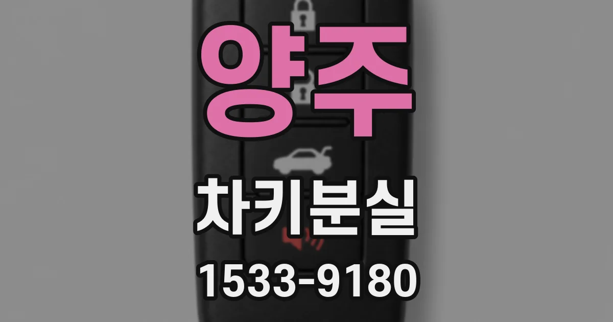 양주 차키분실