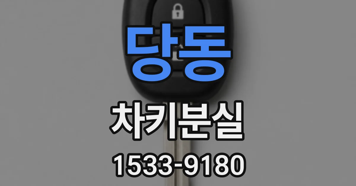 당동 차키분실