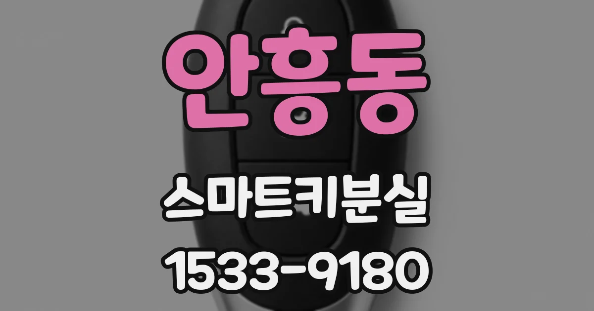 안흥동 스마트키분실