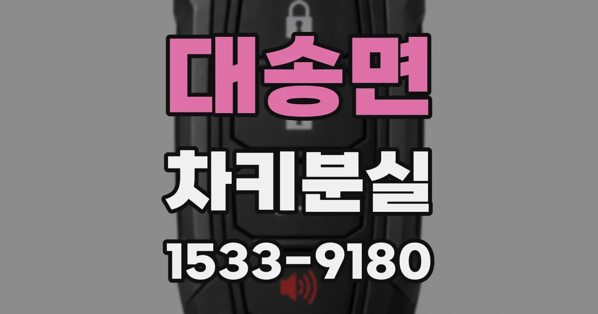 대송면 차키분실