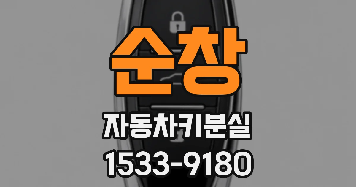 순창 자동차키분실