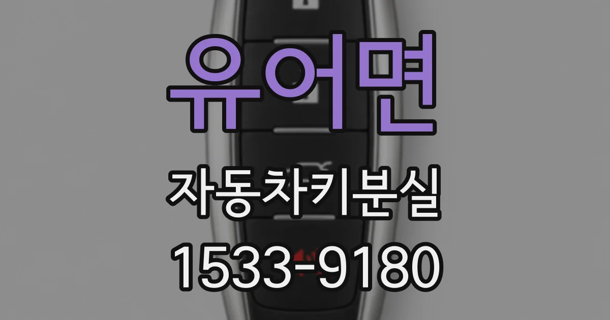 유어면 자동차키분실