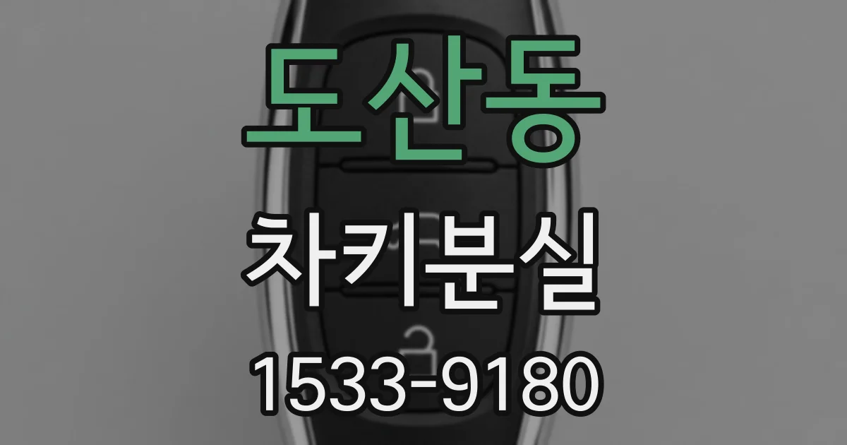 도산동 차키분실