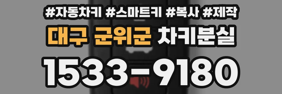 대구 군위군 차키분실