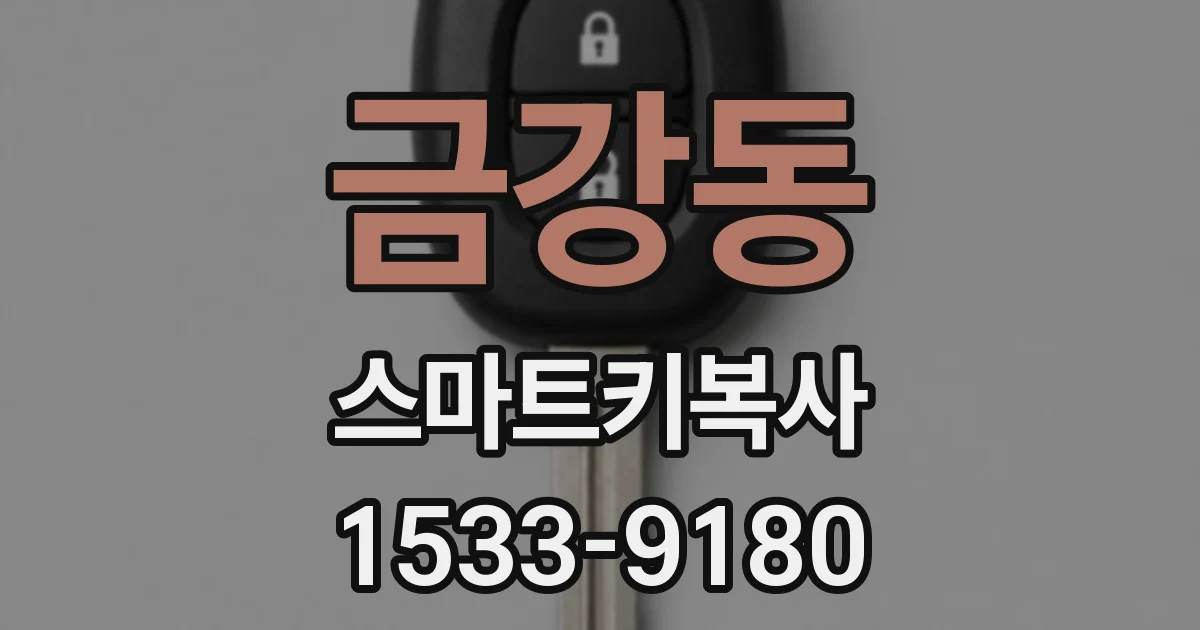 금강동 스마트키복사