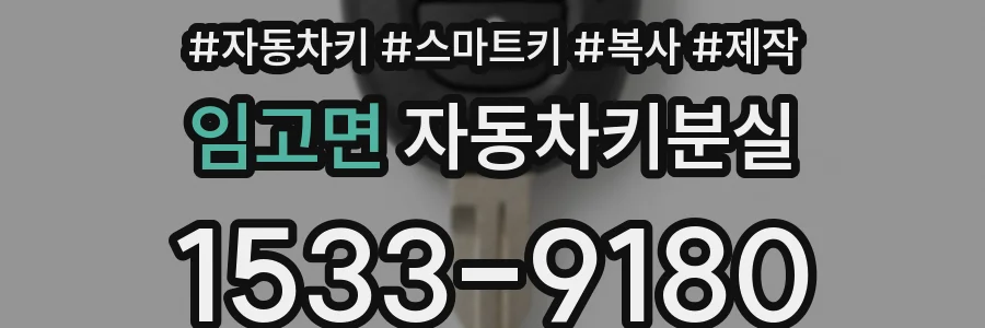 임고면 자동차키분실