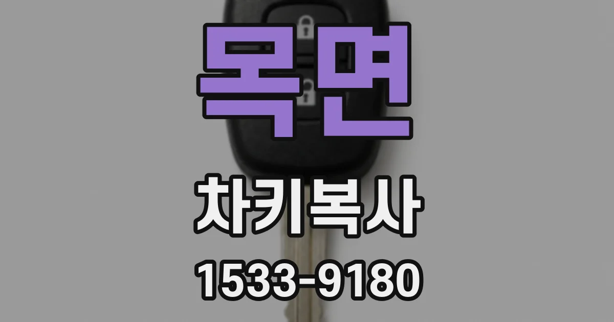 목면 차키복사