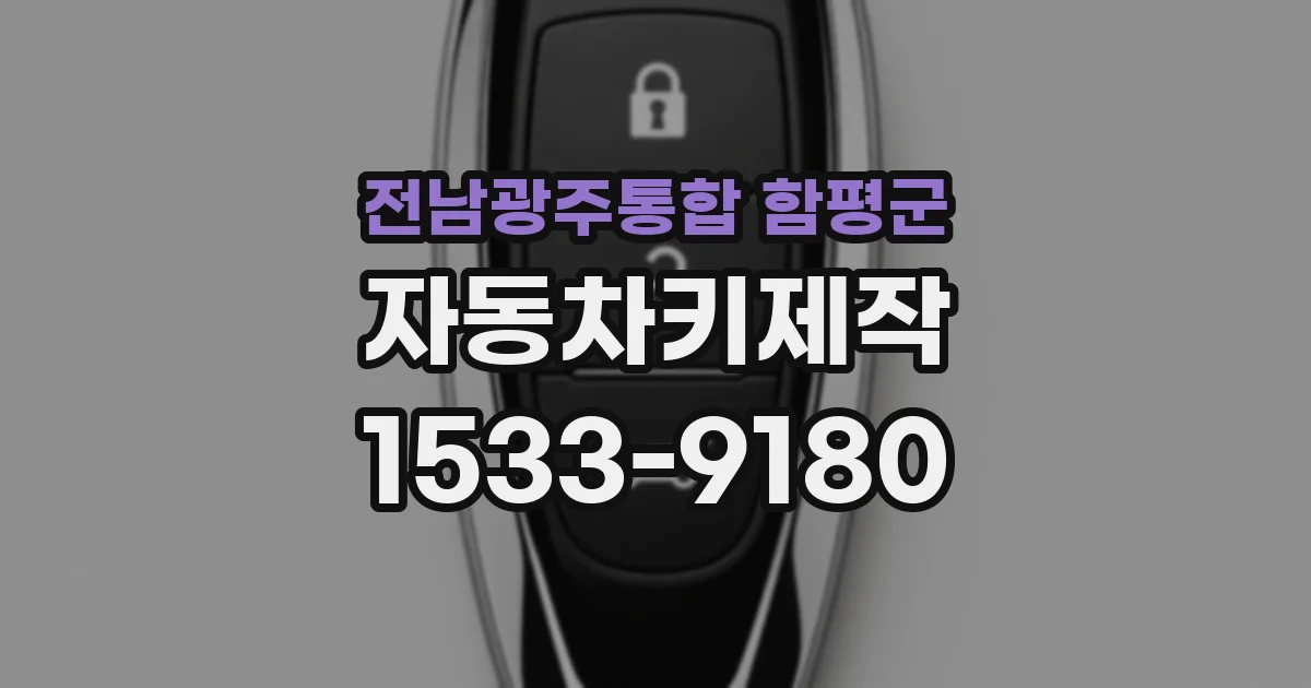 전남광주통합 함평군 자동차키제작
