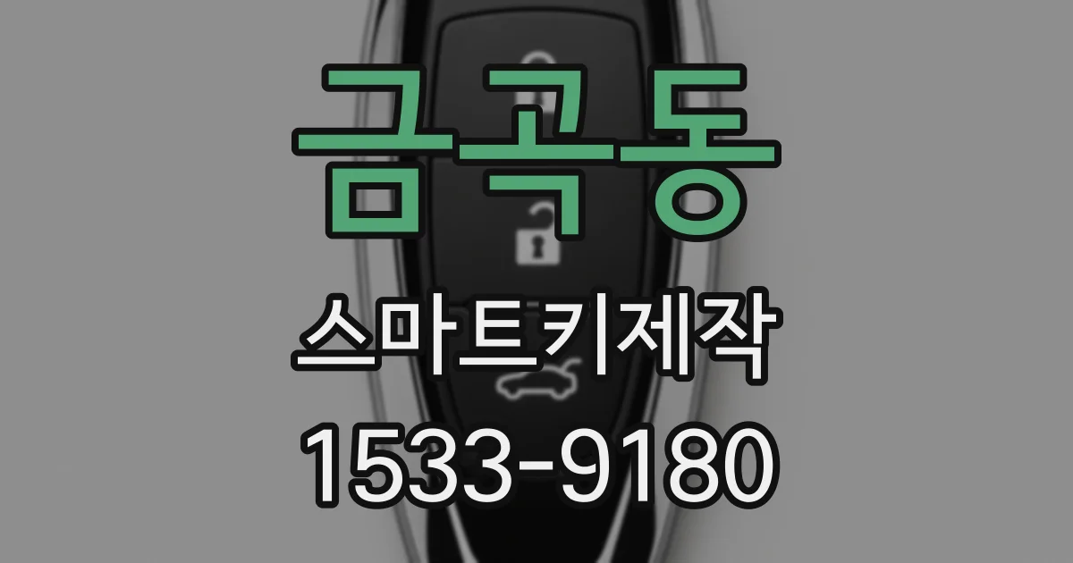 금곡동 스마트키제작
